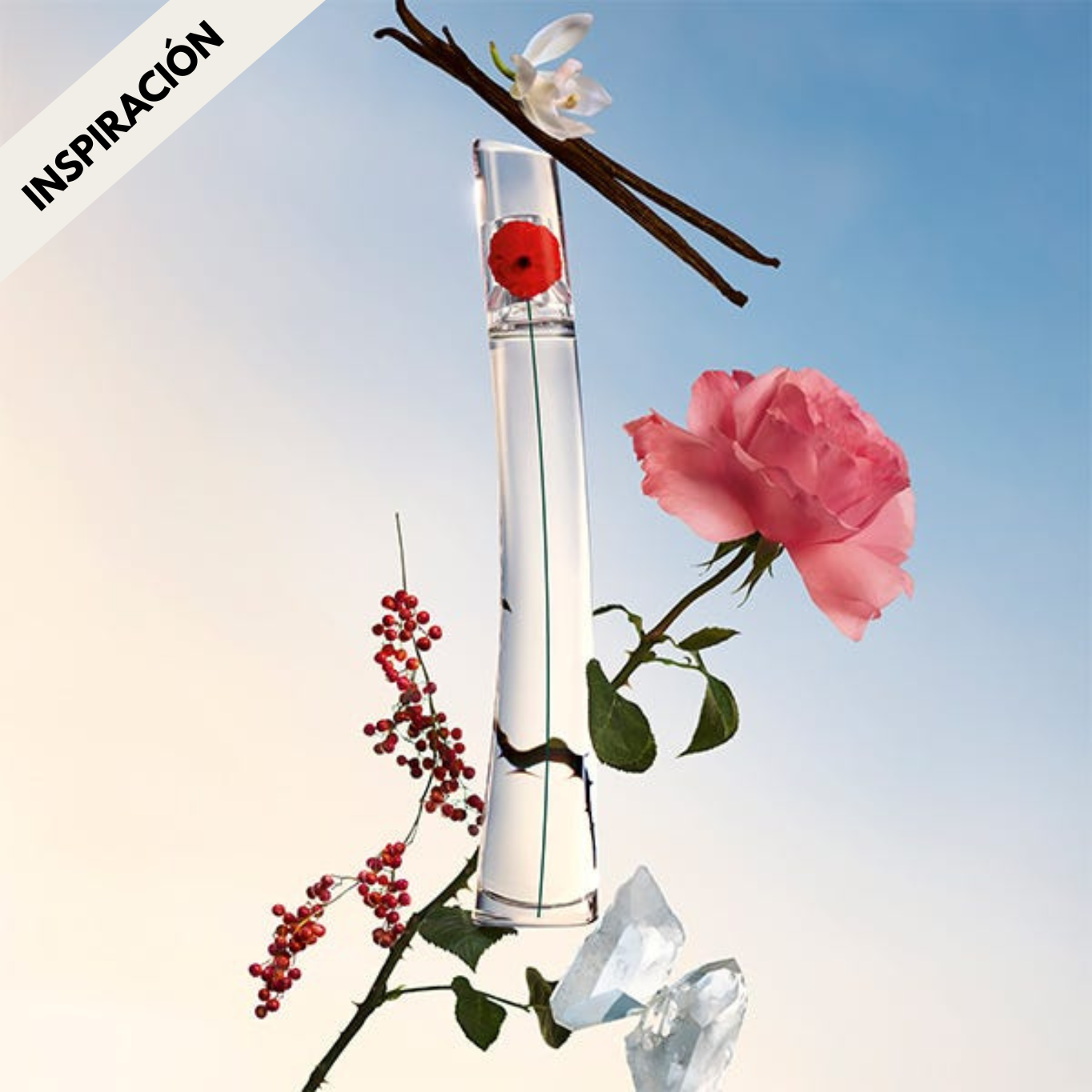 Eau de parfum mujer Como Tú Soplo Intense